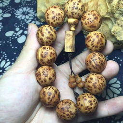 精品太行崖柏爆滿瘤疤長(zhǎng)成這樣