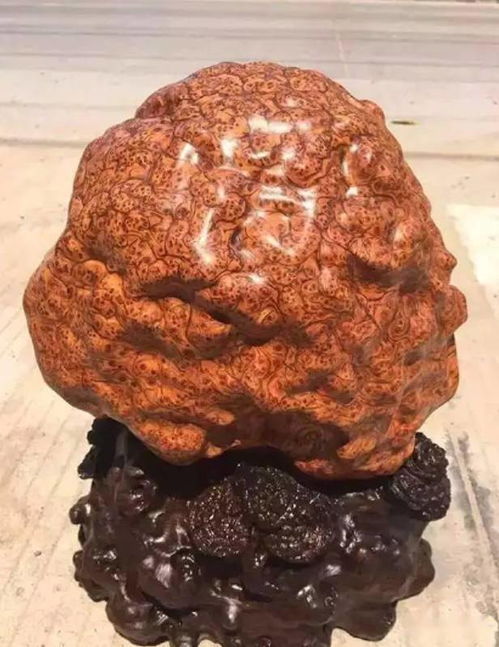 崖柏極品爆滿瘤疤料,真是美的辣眼睛