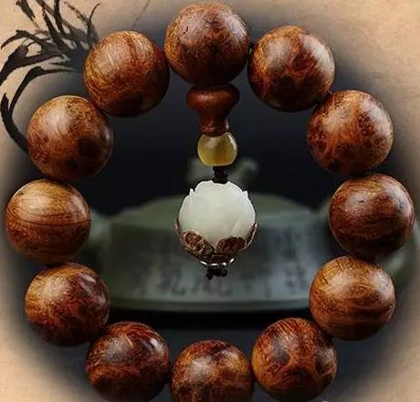 別疏忽大意了 崖柏各品類需要這樣保養