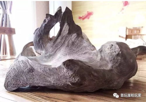 佛有舍利子 柏有舍利料,崖柏陳化料中的精華