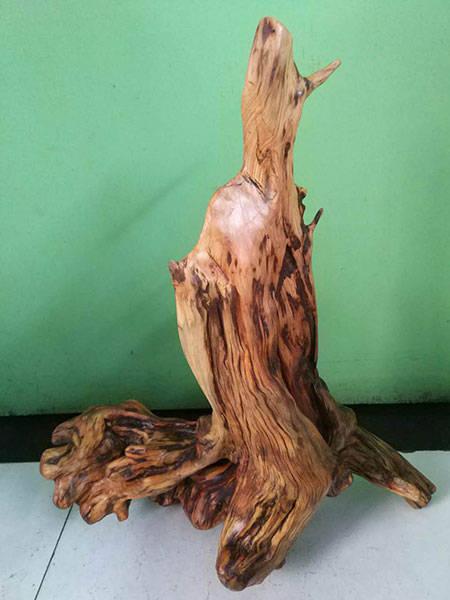 崖柏根藝家馬敬科作品欣賞_手機網(wǎng)