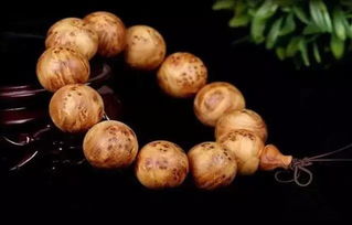 辨別崖柏價值的方法,你知道嗎