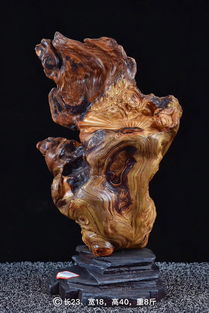 太行崖柏 陳化瘤疤坨 工藝品欣賞