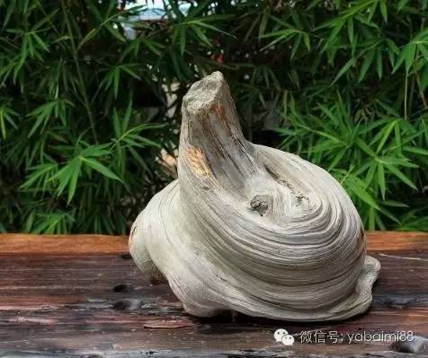 崖柏 木質文玩中的未來王者