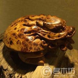 太行崖柏工藝品擺件的藝術魅力 名木坊的匠心之作