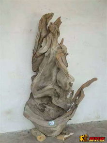 崖柏精品 自然造化的藝術瑰寶與鑒賞之道