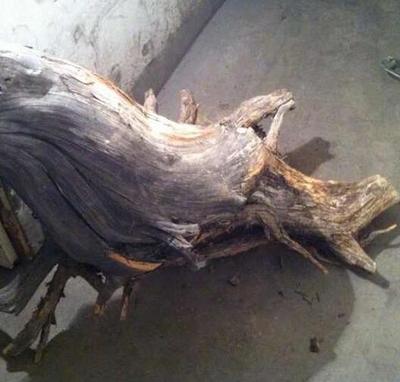 新手必知 崖柏三大養(yǎng)生功效及其他柏香木特點(diǎn)