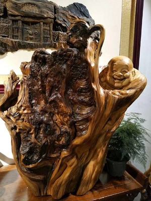 陳瑞濤崖柏作品鑒賞 自然與匠心的深度對話